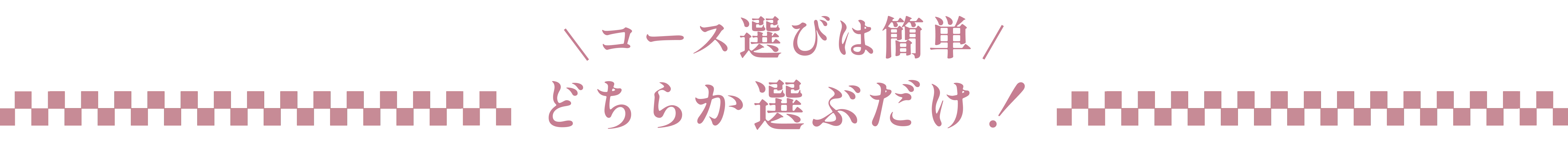 コース選びは簡単、どちらかを選ぶだけ！